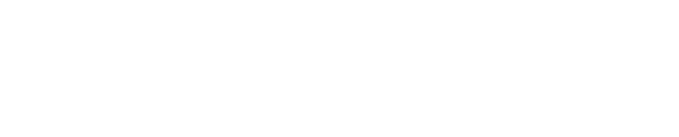 RaidVM logo